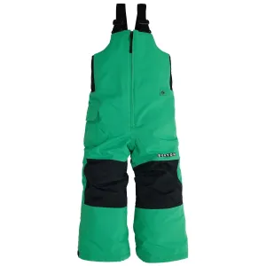 Burton Maven Ski Pants with Suspenders, Green